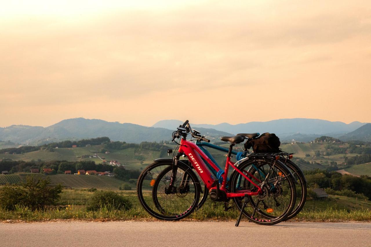 Kozjanski Dvor 3* Podčetrtek